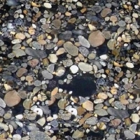 Image of black mosaic granite sample