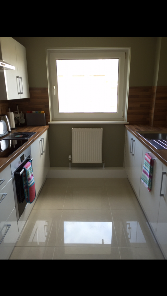 Galley Kitchen with a Overtly Olive Green Wall Contrast
